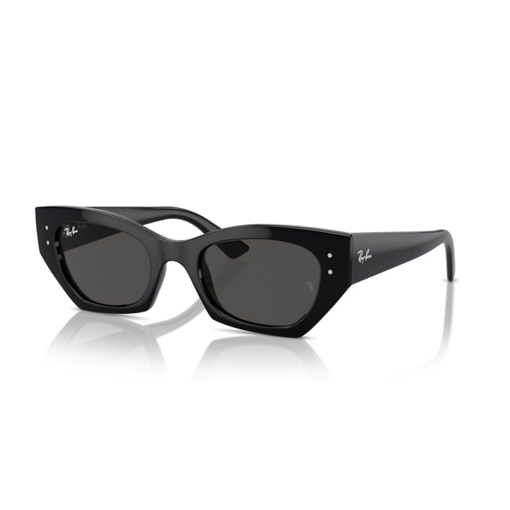 Ray-Ban RB4430, 667787 (49/22 - 145)