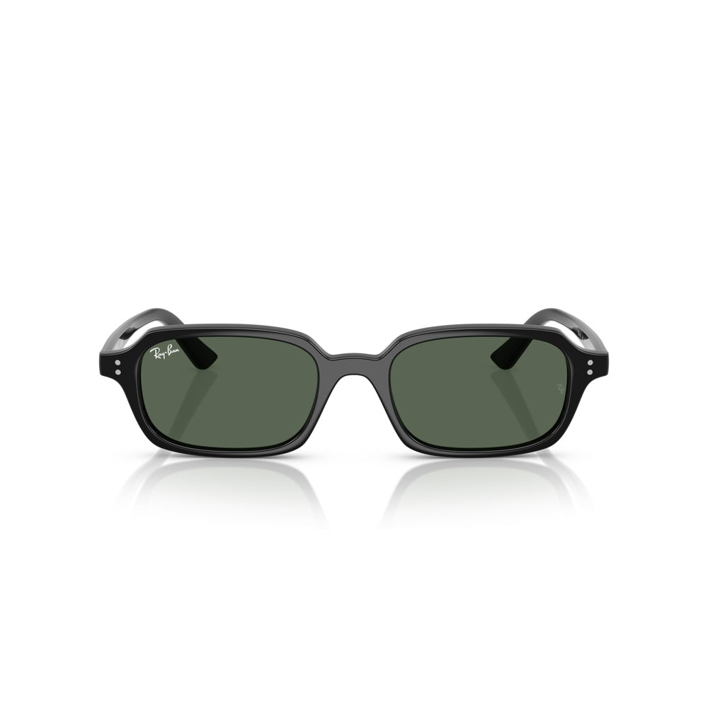 Ray-Ban 0RB4455, 667771 (52/19 - 145)