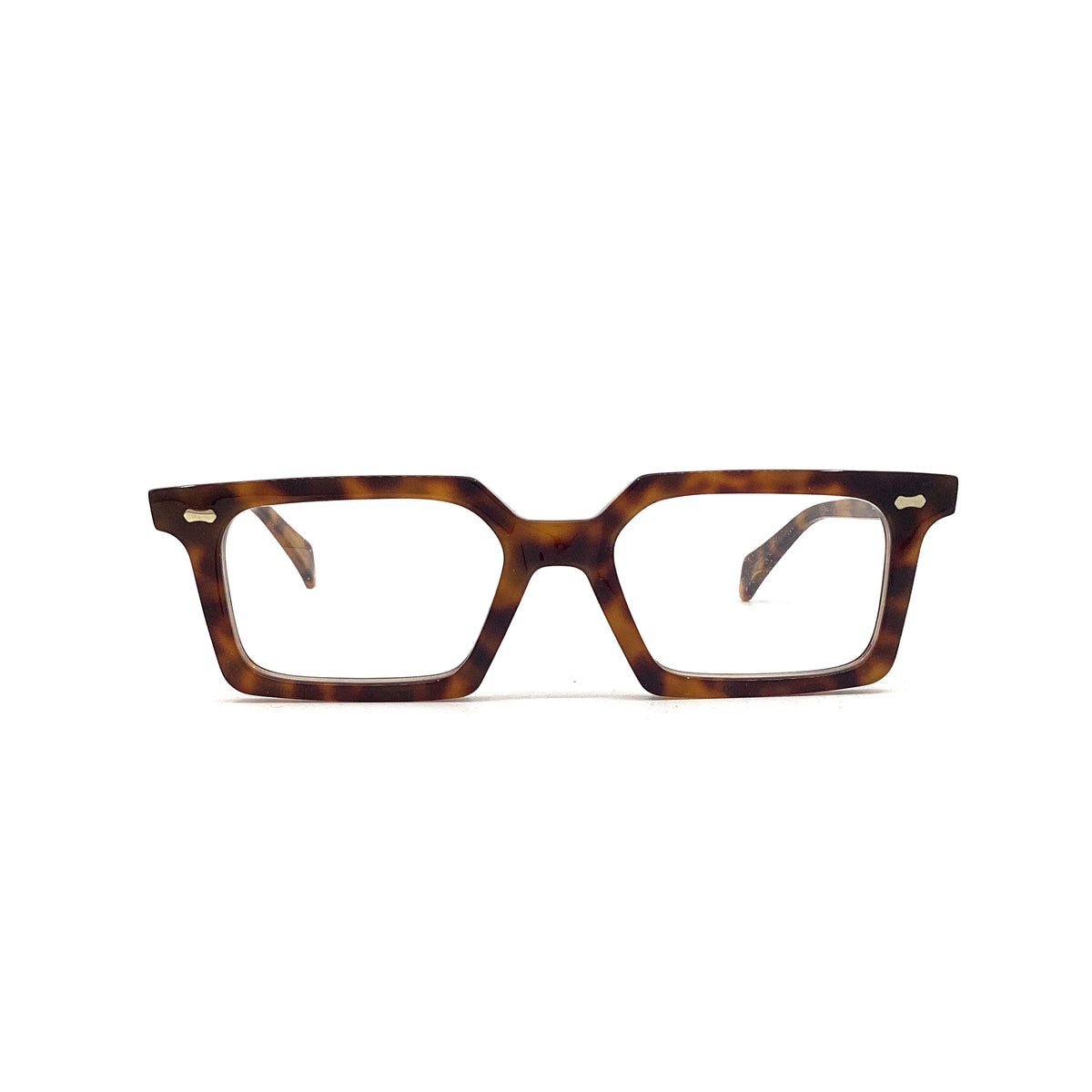 Dandy's Leccio, TS11 (50/18 - 145)
