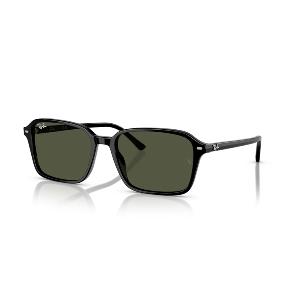 Ray-Ban RB2231, 901/31 (58/18 - 145)