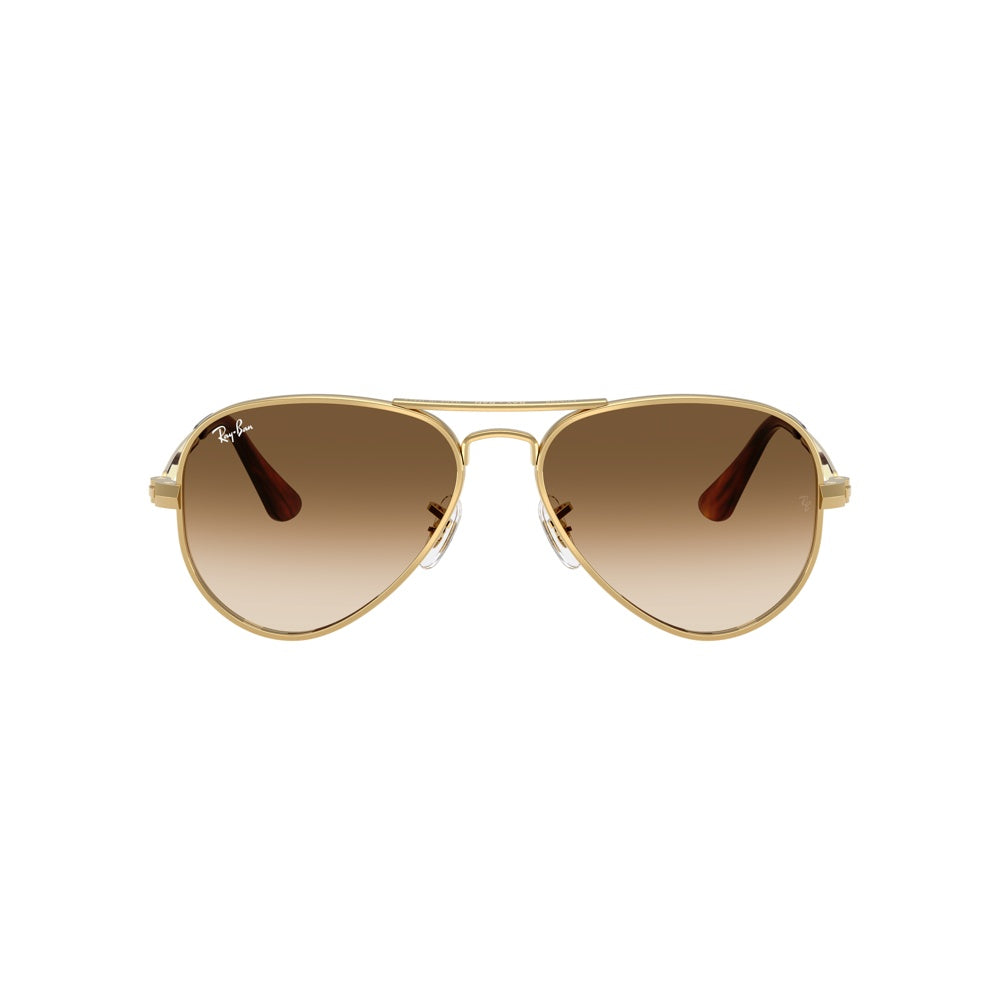 Ray-Ban RB3925 AVIATOR MAX, 001/51 (58/16 - 145)