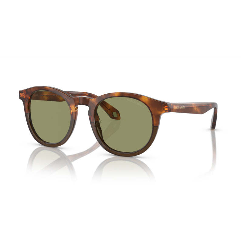 Giorgio Armani AR8192, 598814 (50/21 - 145)