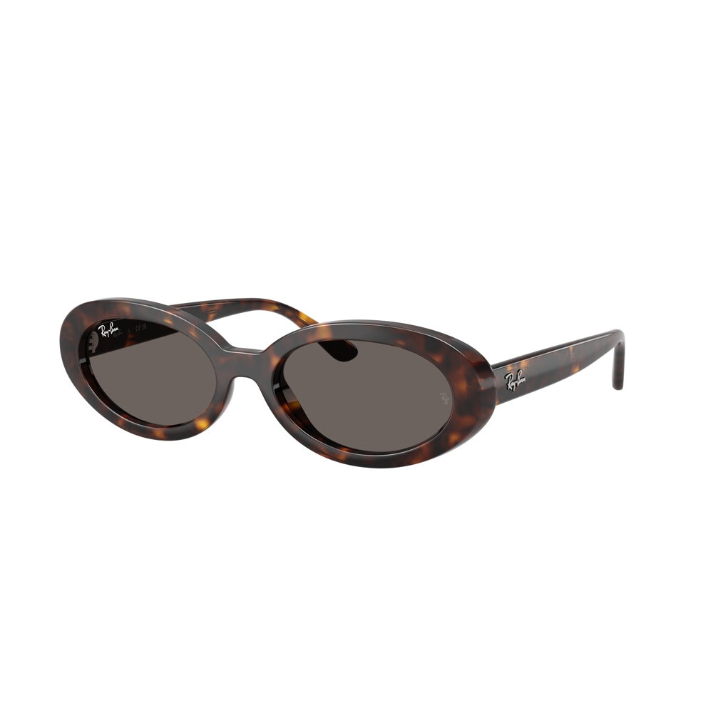 Ray-Ban 0RB2223, 902/B1 (54/19 - 145)