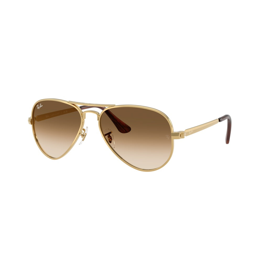 Ray-Ban RB3925 AVIATOR MAX, 001/51 (58/16 - 145)
