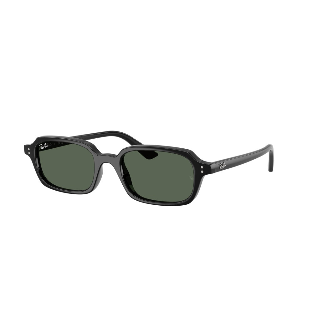 Ray-Ban 0RB4455, 667771 (52/19 - 145)