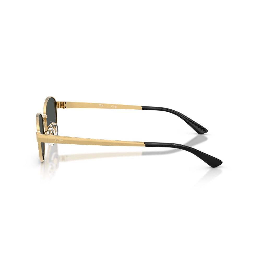 Ray-Ban 0RB3774D, 001/87 (55/19 - 145)
