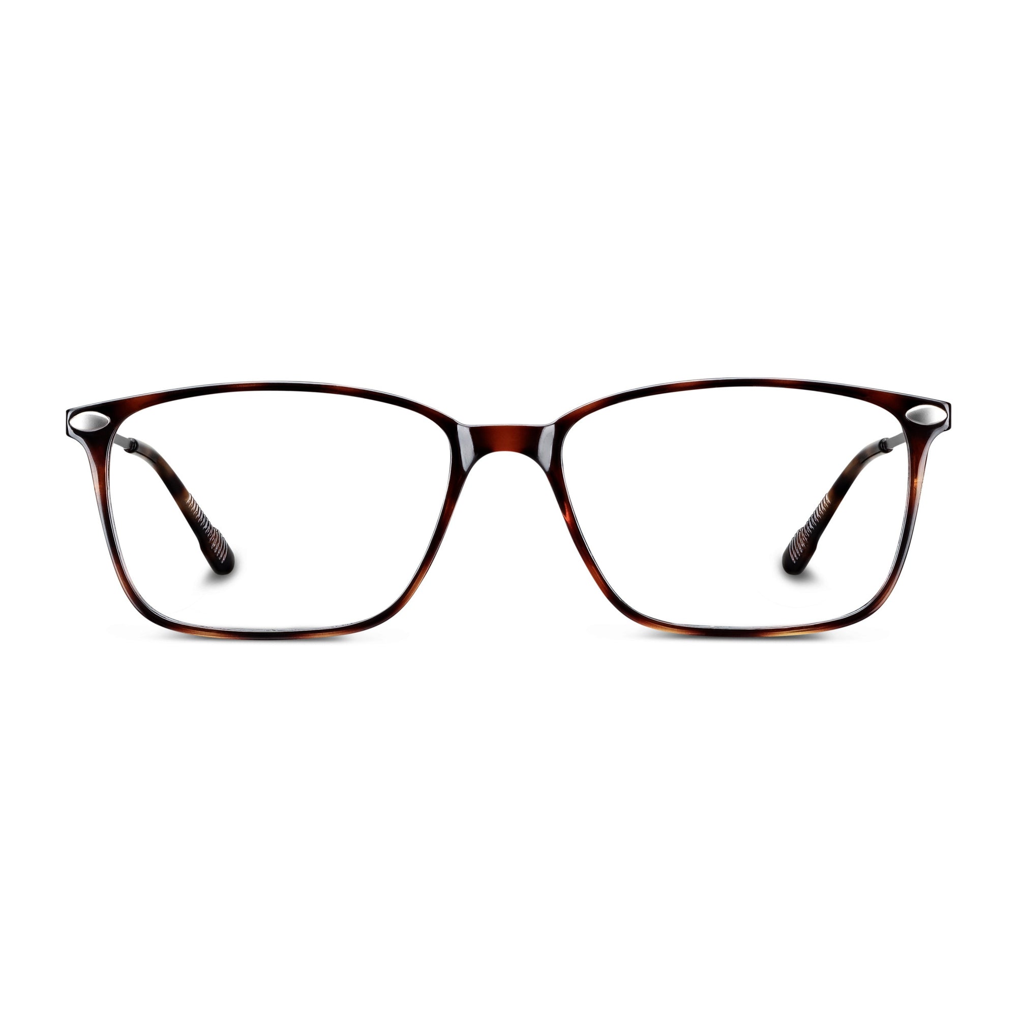 Nooz Essential Bao +1.00, Tortoise (50/18 - 140)